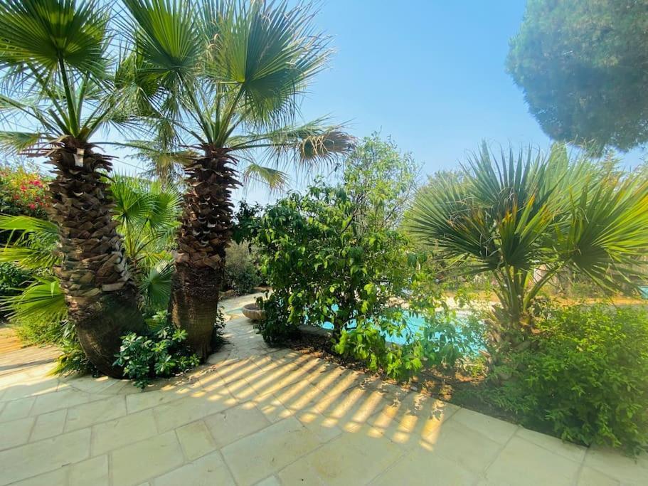Atlantide - Somptueuse Villa Classee 4 Etoiles - Saint-Clair - Vue Exceptionnelle - Piscine Sète Kültér fotó