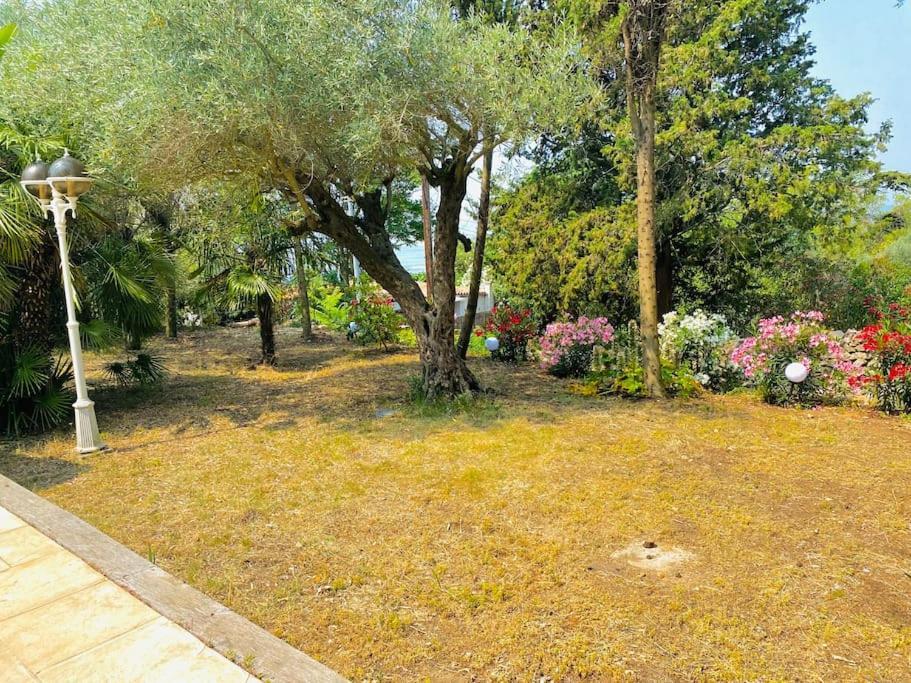 Atlantide - Somptueuse Villa Classee 4 Etoiles - Saint-Clair - Vue Exceptionnelle - Piscine Sète Kültér fotó